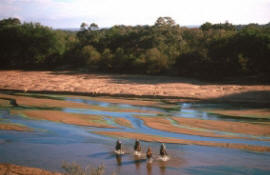 Река Лимпопо (Limpopo)