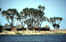 Судан, деревня на берегу Нила