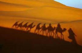 Западная Сахара, силуэты пустыни