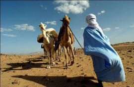 Ливия, караван туарегов